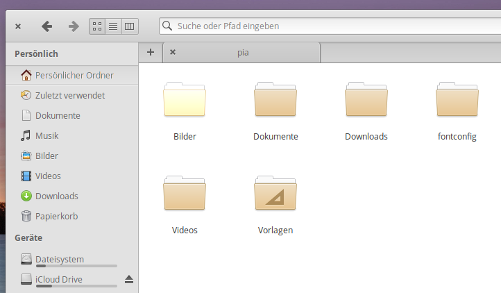 Screenshot des elementary Dateimanager